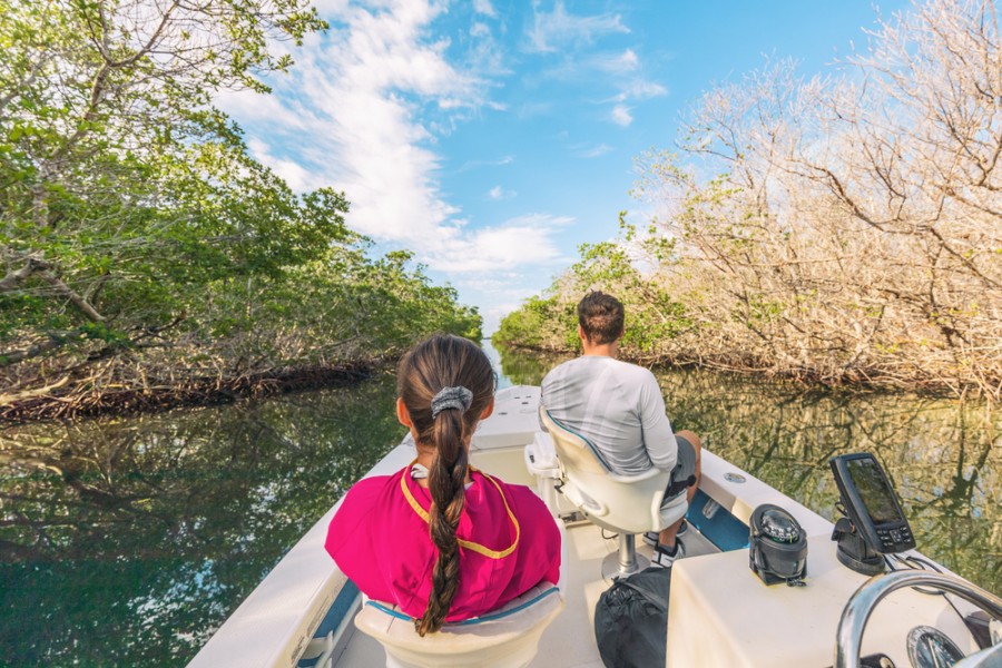Découverte des Everglades depuis Miami : un voyage inoubliable
