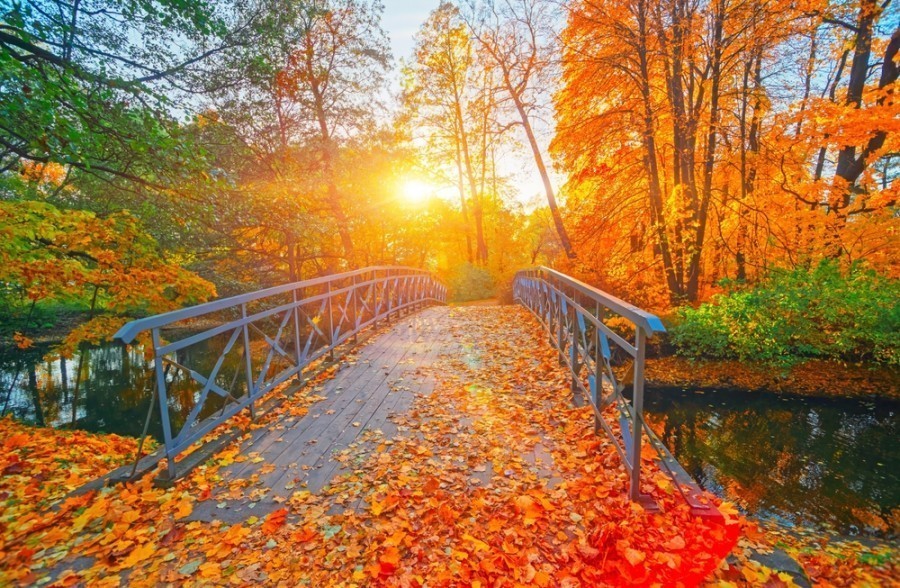 Quels sont les meilleurs endroits pour admirer les paysages d'automne au Canada ?