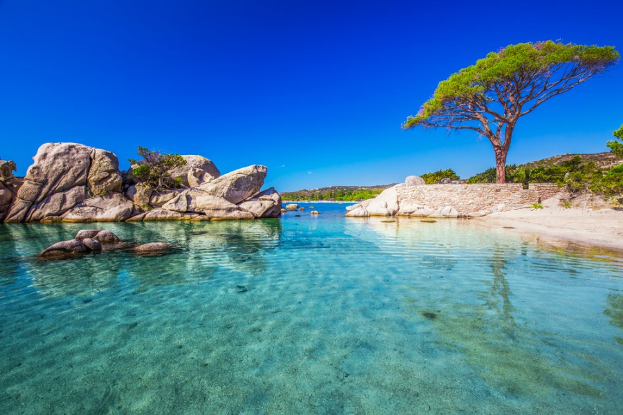 Camping en Corse : un large choix de destinations