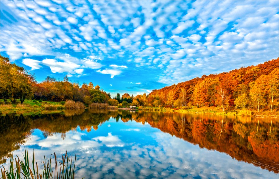 Pourquoi l'automne est la meilleure saison pour visiter le Canada ?