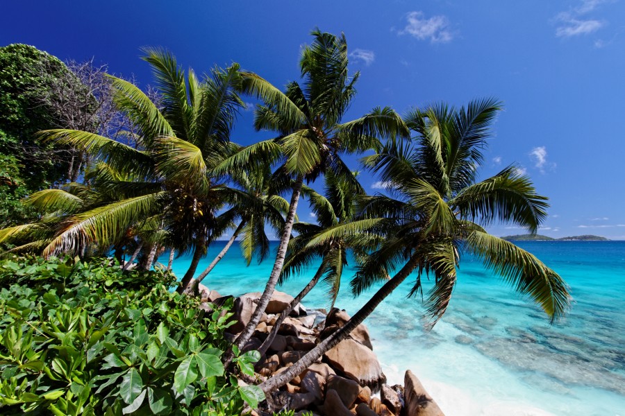 himmelen-Comment organiser une croisière en catamaran aux Seychelles ?
