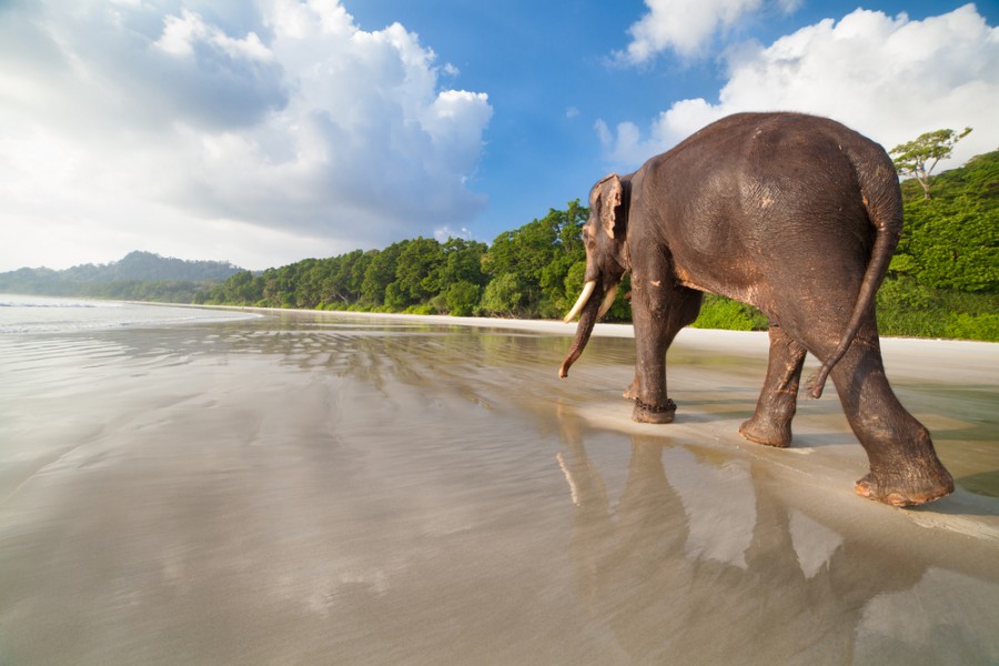 himmelen-Île Andaman : les meilleurs endroits de l'archipel en photos !