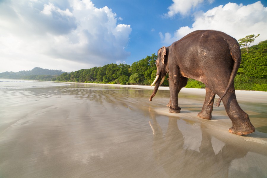 Île Andaman : les meilleurs endroits de l'archipel en photos !