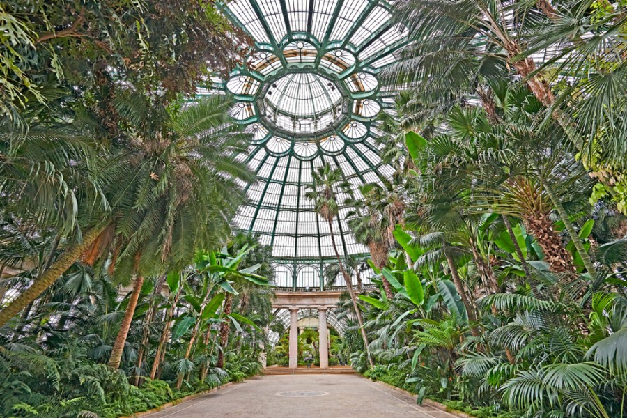 himmelen-Comment profiter au mieux du jardin botanique de Bruxelles ?