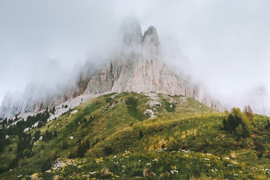 Qu'est-ce qui rend les Cimes si fascinantes ?