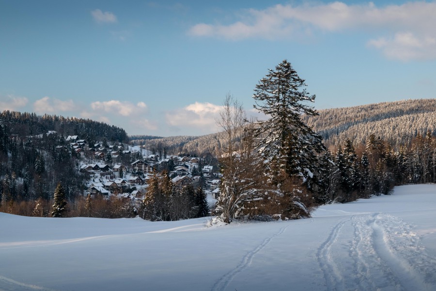 Plateau de Retord : une destination Jurassienne à découvrir