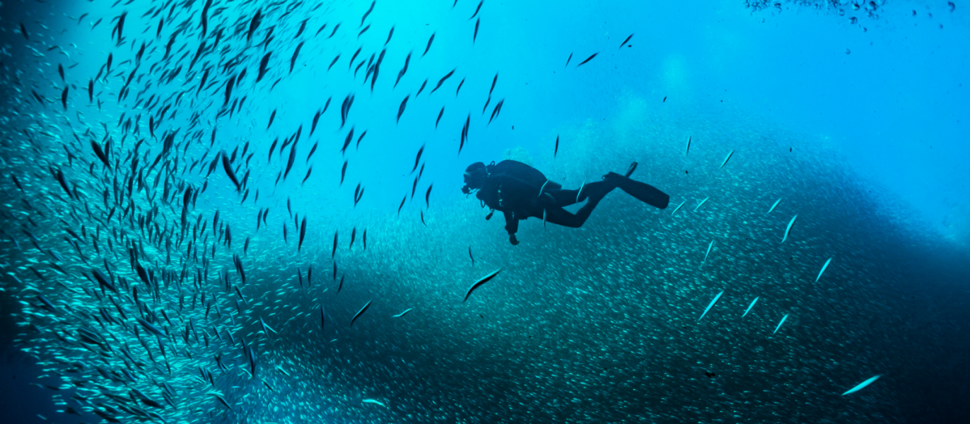 himmelen-Les plus beaux spots de plongée sous marine