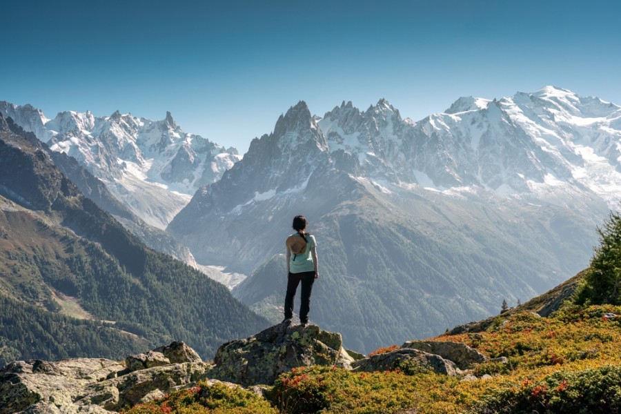 Qu'est-ce que les cimes raucoules ?