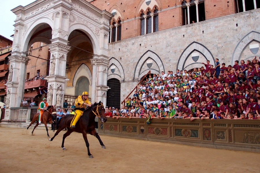 Voir le palio Sienne