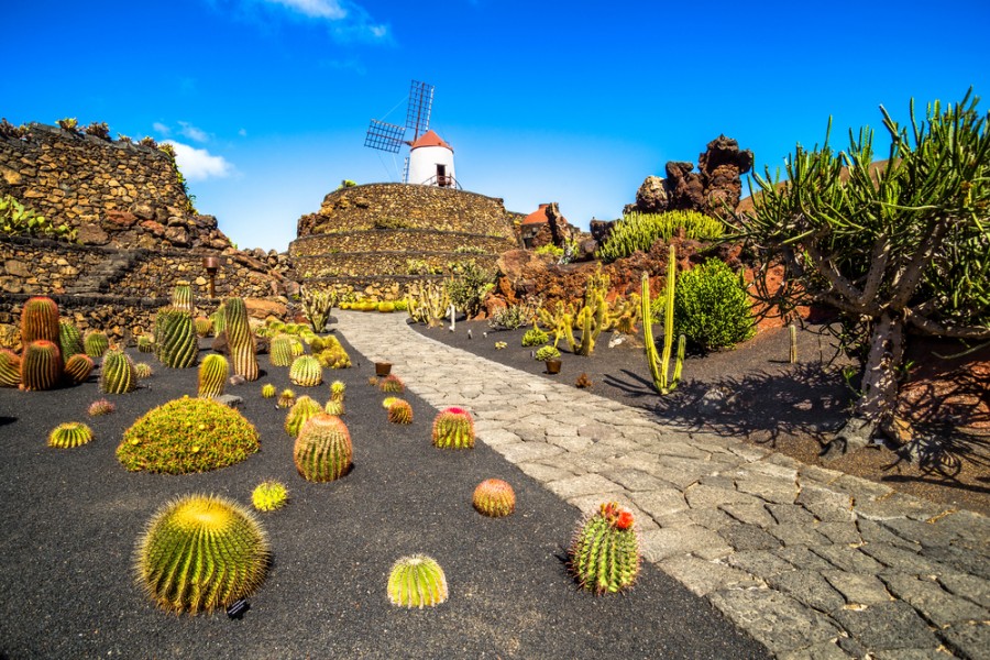 Visiter Lanzarote : que faire et que voir sur l'île