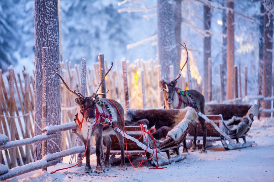 Voyage en Laponie : rendez-vous chez le Père Noël